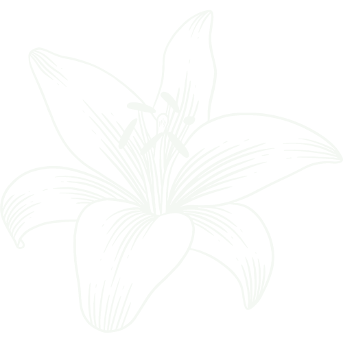 Tiger Lily Web Services Logo
